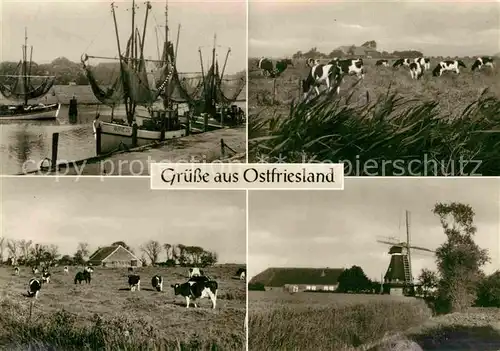 AK / Ansichtskarte Ostfriesland Fischerboote Kuehe Windmuehle  Kat. Regionales