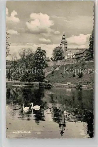 AK / Ansichtskarte Berleburg Bad Schloss Weiher Schwaene Kat. Bad Berleburg