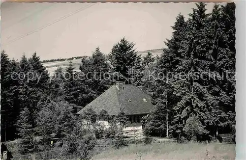 AK / Ansichtskarte Wingeshausen Haus im Wald Kat. Bad Berleburg