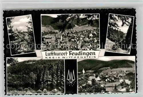 AK / Ansichtskarte Feudingen Weidelbacher Weiher Jlsetal Panorama Kat. Bad Laasphe