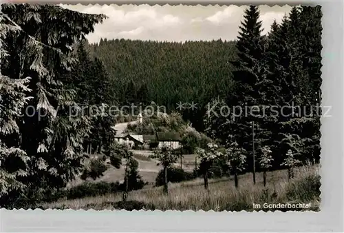 AK / Ansichtskarte Fischelbach Gonderbachtal Kat. Bad Laasphe