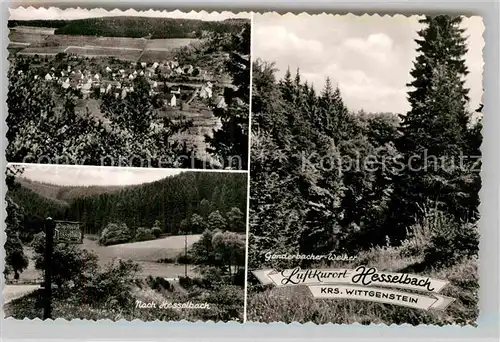 AK / Ansichtskarte Hesselbach Wittgenstein Panorama Wegweiser Kat. Bad Laasphe