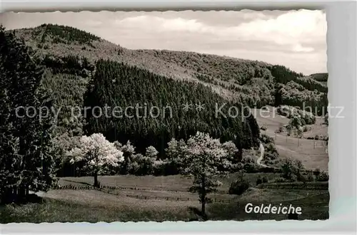 AK / Ansichtskarte Wemlighausen Goldeiche Kat. Bad Berleburg