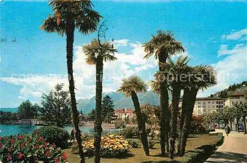 AK / Ansichtskarte Locarno Lago Maggiore Gaerten am See