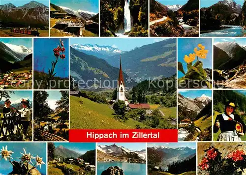 AK / Ansichtskarte Zillertal Tirol Panorama Teilansichten