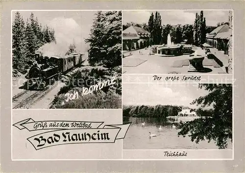 AK / Ansichtskarte Bad Nauheim Teichhaus Sprudel Lokomotive  Kat. Bad Nauheim
