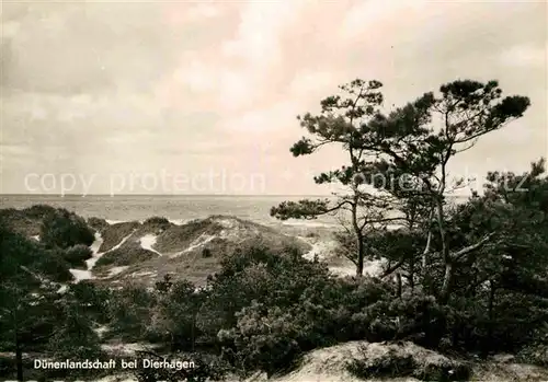 AK / Ansichtskarte Dierhagen Ostseebad Duenenlandschaft Kat. Dierhagen Ostseebad