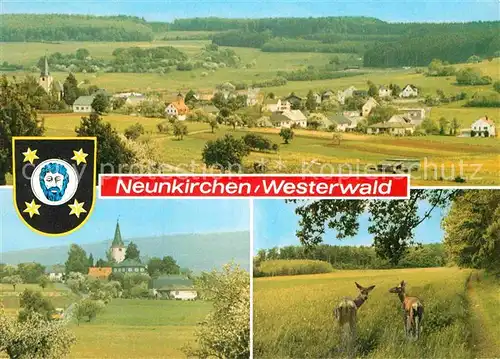 AK / Ansichtskarte Neunkirchen Westerwald Reh Kat. Neunkirchen