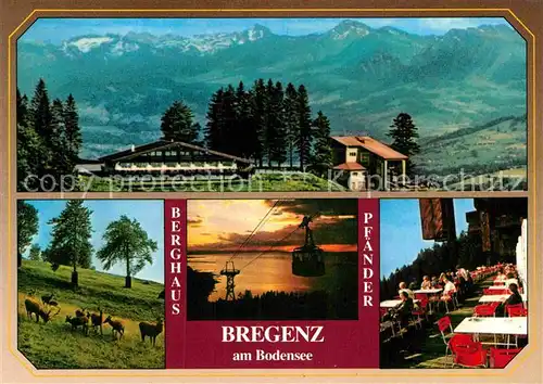 AK / Ansichtskarte Bregenz Bodensee Berghaus Pfaender mit Wildpark Bergbahn Alpenpanorama