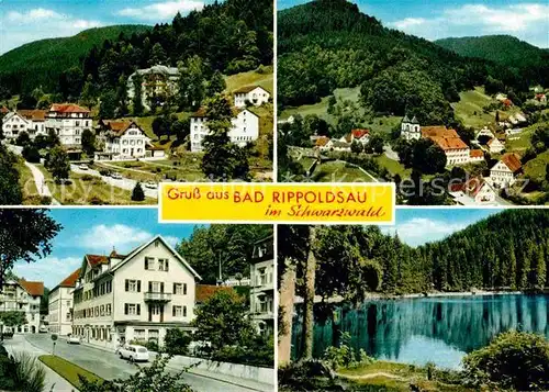 AK / Ansichtskarte Bad Rippoldsau Schwarzwald Teilansichten Weiher Kat. Bad Rippoldsau Schapbach