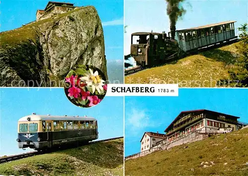 AK / Ansichtskarte Zahnradbahn Schafberg Haus Schafbergspitze  Kat. Bergbahn