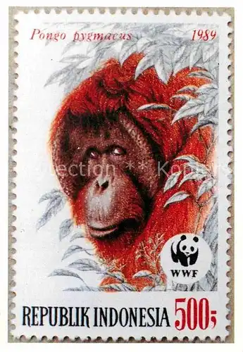 AK / Ansichtskarte Briefmarke auf Ak Borneo Orang Utan Indonesia  Kat. Besonderheiten