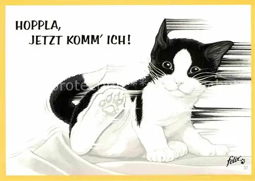 AK / Ansichtskarte Katzen Werbung Felix  Kat. Tiere