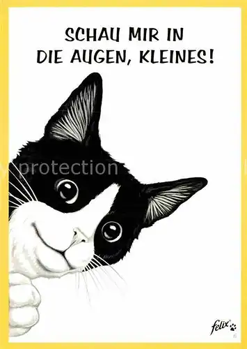 AK / Ansichtskarte Katzen Werbung Felix  Kat. Tiere