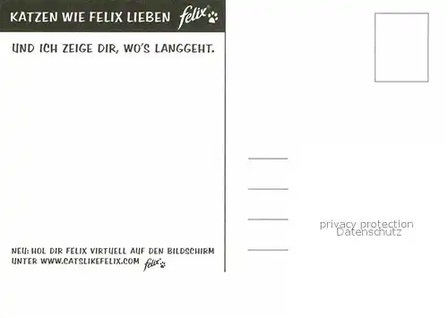 AK / Ansichtskarte Katzen Werbung Felix  Kat. Tiere