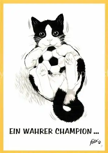 AK / Ansichtskarte Katzen Fussball Werbung Felix  Kat. Tiere