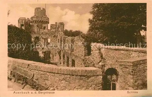 AK / Ansichtskarte Auerbach Bergstrasse Schloss Kat. Bensheim