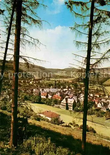 AK / Ansichtskarte Altenhundem Panorama Kat. Lennestadt