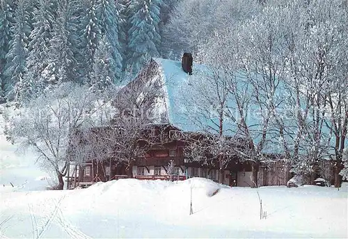 AK / Ansichtskarte Feldberg Schwarzwald Gasthaus zum Feldsee Raimartihof im Winter Kat. Feldberg (Schwarzwald)