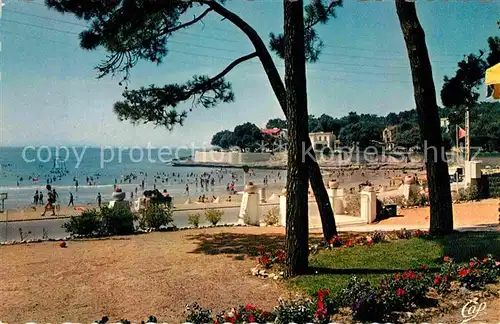 AK / Ansichtskarte Vaux sur Mer La Plage a travers les Pins Kat. Vaux sur Mer