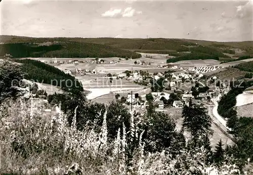 AK / Ansichtskarte Aue Westfalen Panorama Kat. Bad Berleburg