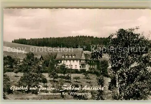 AK / Ansichtskarte Sassenhausen Gasthof Pension Schoene Aussicht Kat. Bad Berleburg
