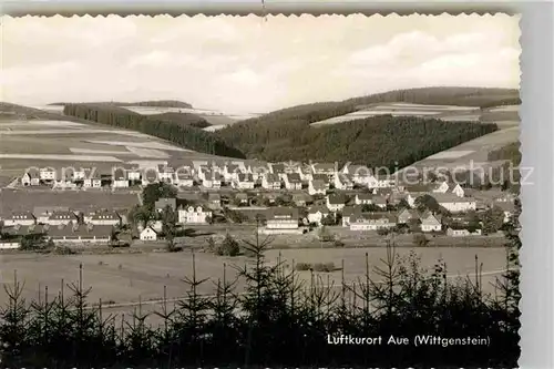 AK / Ansichtskarte Aue Westfalen Panorama Kat. Bad Berleburg