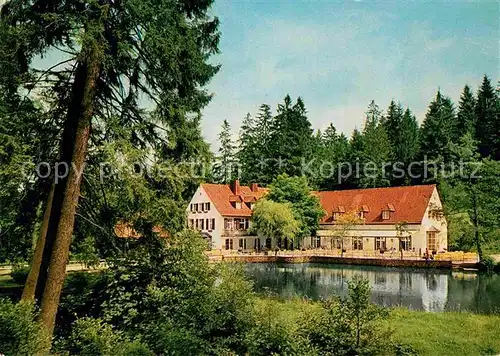 AK / Ansichtskarte Leopoldstal Lippe Waldhotel und Pension Silbermuehle Kat. Horn Bad Meinberg