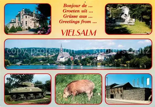 AK / Ansichtskarte Vielsalm Hotel de Ville Grotte de Notre Dame Vue panoramique Tank Sherman Sanglier Archeoscope Kat. 