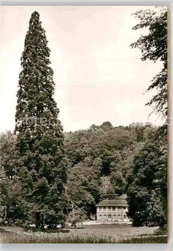 AK / Ansichtskarte Auerbach Bergstrasse Mammutbaum mit Herrenhaus im Fuerstenlager Kat. Bensheim