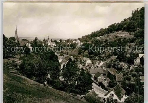AK / Ansichtskarte Bensheim Auerbach Panorama