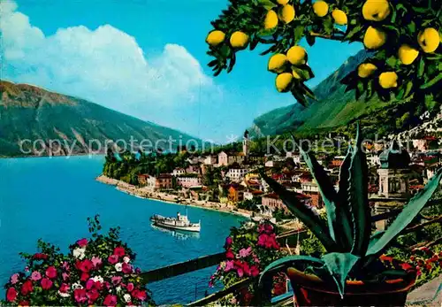 AK / Ansichtskarte Limone Lago di Garda Panorama Gardasee Zitronenbaum Kaktus