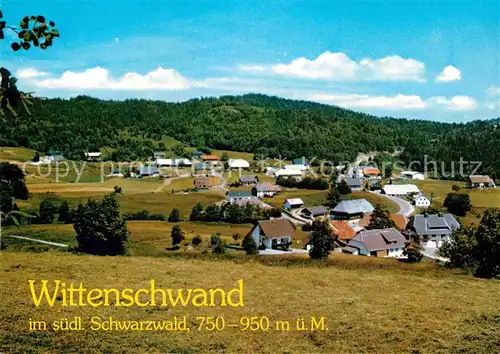 AK / Ansichtskarte Wittenschwand Gesamtansicht Erholungsort im Schwarzwald Kat. Dachsberg
