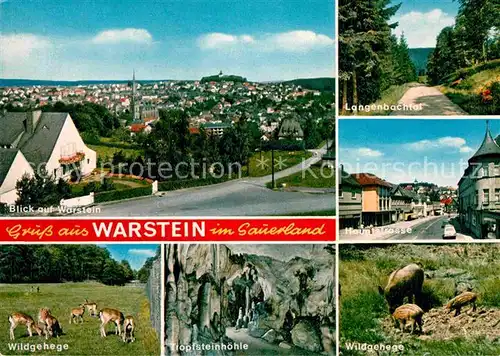 AK / Ansichtskarte Warstein Teilansicht Wildgehege Tropfsteinhoehle Hauptstrasse Kat. Warstein