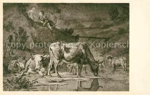 AK / Ansichtskarte Kreidezeichnung 18. Jahrhundert Rinder Ziege Kupferstichkabinett Donaueschingen