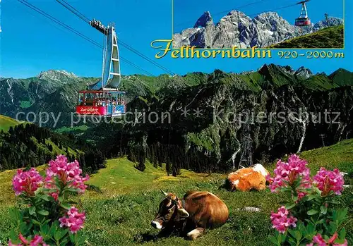 AK / Ansichtskarte Seilbahn Fellhorn Oberstdorf Fastenoy Bergstation Gipfelstation  Kat. Bahnen