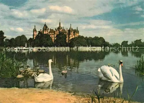 AK / Ansichtskarte Schwan Schwerin Burgsee Schloss  Kat. Tiere