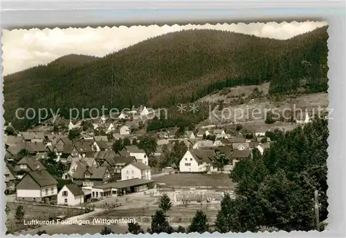 AK / Ansichtskarte Feudingen Panorama Kat. Bad Laasphe