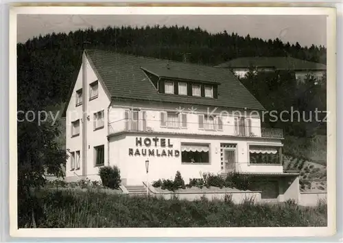 AK / Ansichtskarte Raumland Hotel Raumland Kat. Bad Berleburg