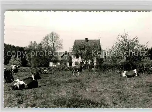 AK / Ansichtskarte Didoll Pension Didoll Kat. Bad Berleburg