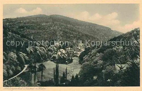 AK / Ansichtskarte Schlangenbad Taunus Panorama Kat. Schlangenbad