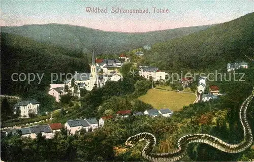 AK / Ansichtskarte Schlangenbad Taunus Panorama Kat. Schlangenbad