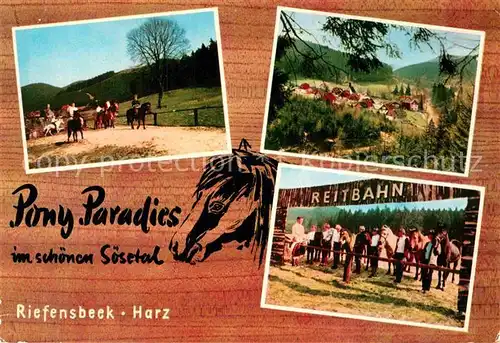 AK / Ansichtskarte Riefensbeek Kamschlacken Pony Paradies Kat. Osterode am Harz