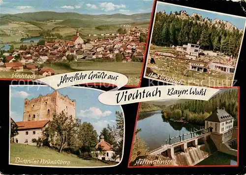 AK / Ansichtskarte Viechtach Bayerischer Wald Teilansicht Burgruine Hoellensteinsee Kat. Viechtach