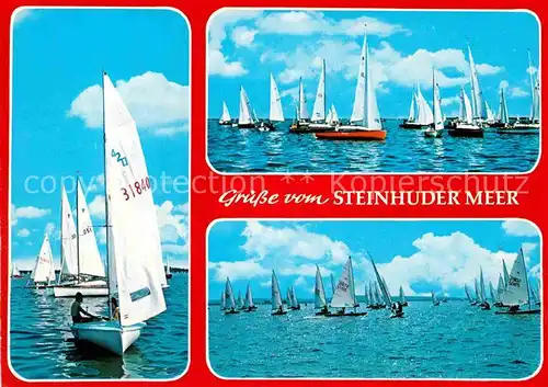 AK / Ansichtskarte Segelboote Steinhuder Meer  Kat. Schiffe