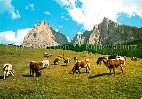 AK / Ansichtskarte Kuehe Dolomiti Alpe di Siusi Sassolungo  Kat. Tiere