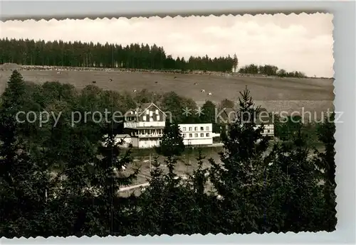 AK / Ansichtskarte Hoheleye Berghotel Kat. Winterberg