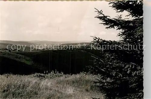 AK / Ansichtskarte Langewiese Teilansicht  Kat. Winterberg