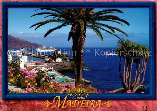 AK / Ansichtskarte Madeira Porto do Funchal Parque de Santa Catarina Kat. Portugal