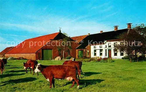 AK / Ansichtskarte Groningen Boerderij  Kat. Groningen